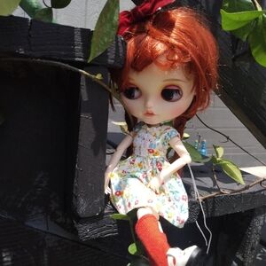 Blythe Doll Accessories